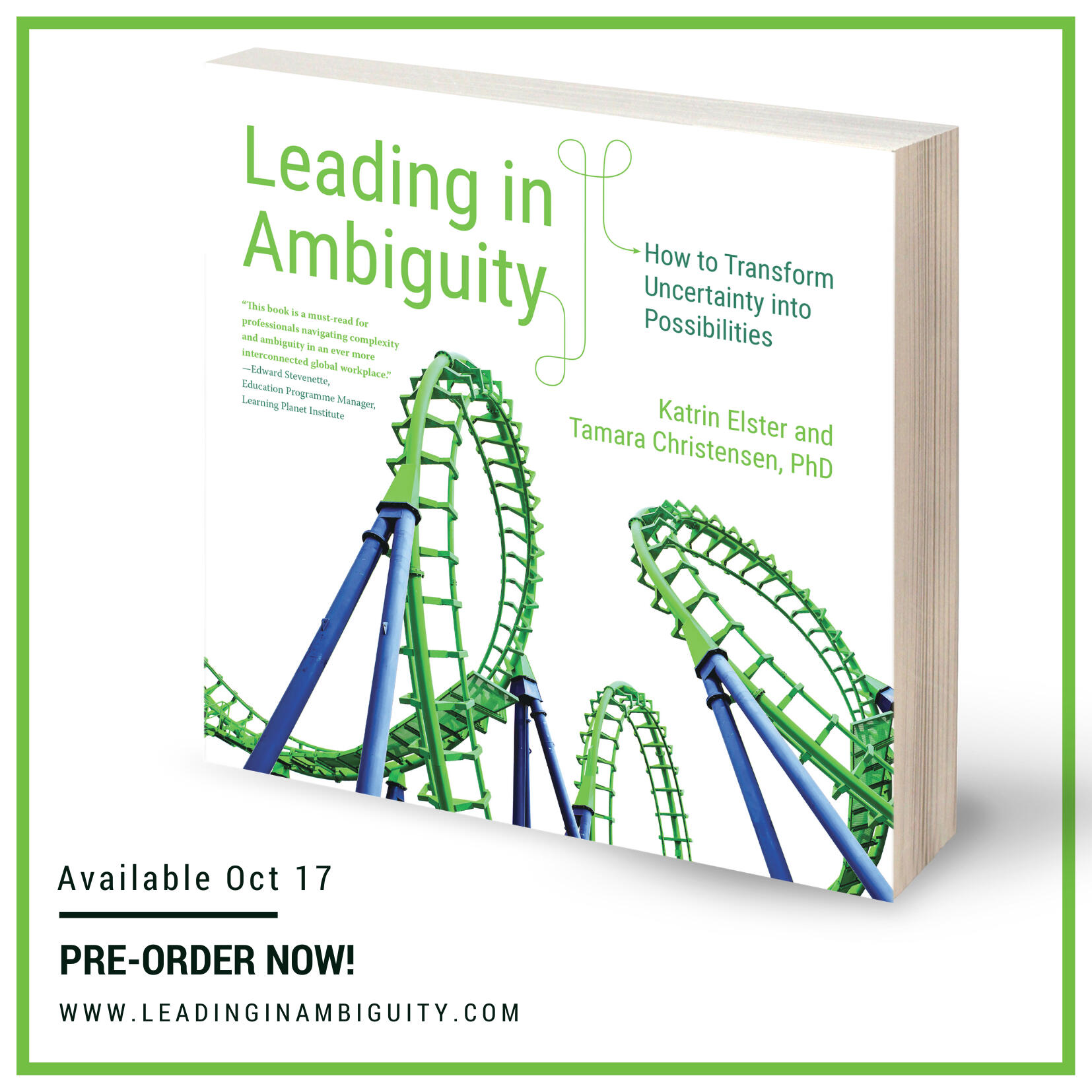 Leading in Ambiguity: How to Transform Uncertainty into Possibilities